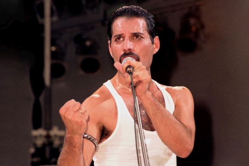 Freddie201