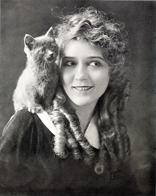 Mary20pickford201202800229