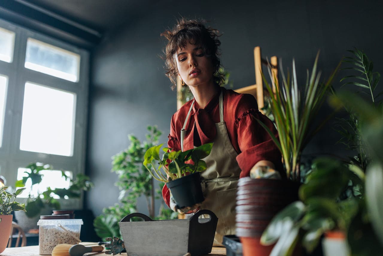 O femeie ține ușor o mică plantă verde în mâinile ei, arătând îngrijorarea ei pentru natură